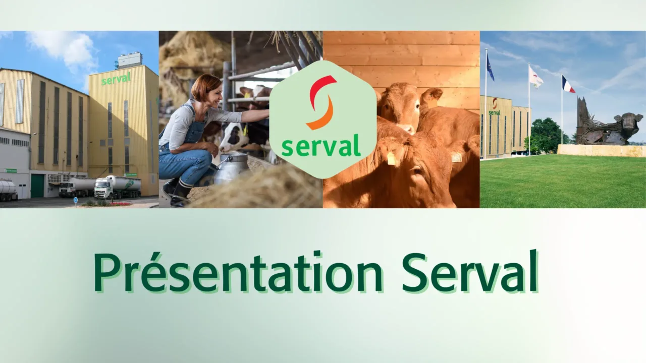 Présentation de l'entreprise Serval