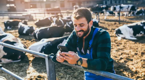 Un éleveur au téléphone dans un enclos