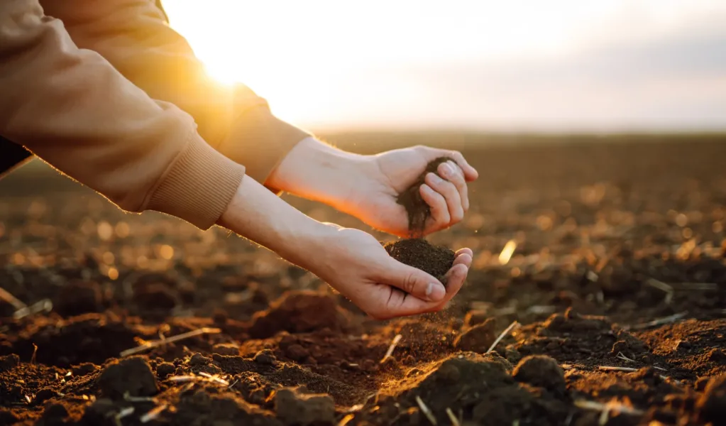 Une personne a de la terre dans les mains