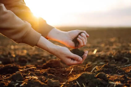 Une personne a de la terre dans les mains