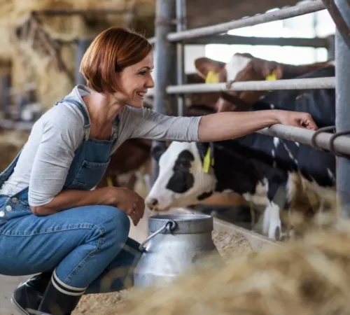 Une éleveuse qui donne du lait à ses animaux