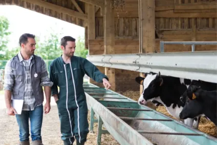 Devenez éleveur de veaux sevrés