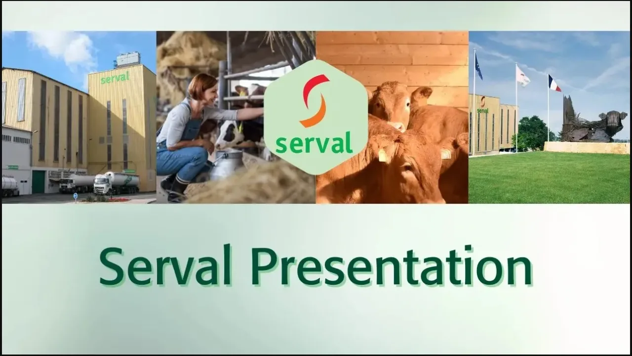 Presentation of Serval Company