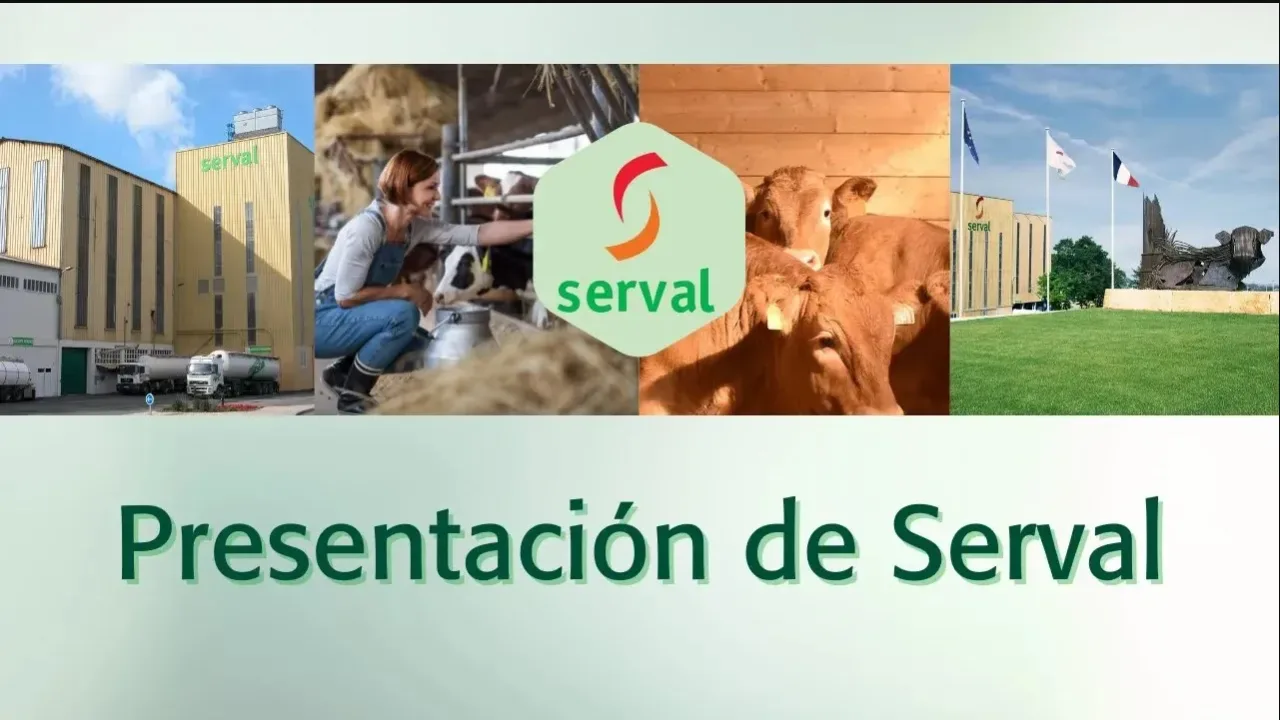 Presentación de Serval