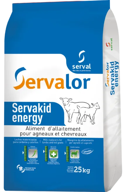 Servakid Energy