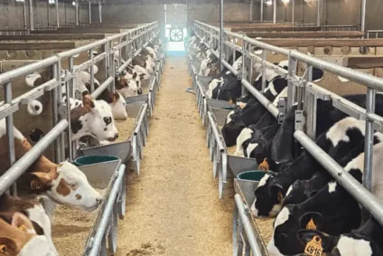 Devenez éleveur de veaux sevrés