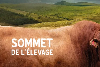 Serval au SOMMET à Clermont-Ferrand